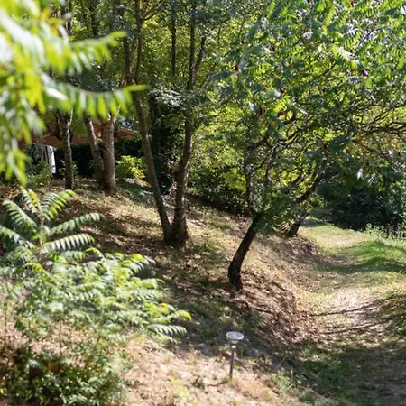 Avec Terrasse A Sauveterre-de-rouergue, 2 Chambres, Equipements Complets - Api-1-52-410 Sauveterre-de-Rouergue