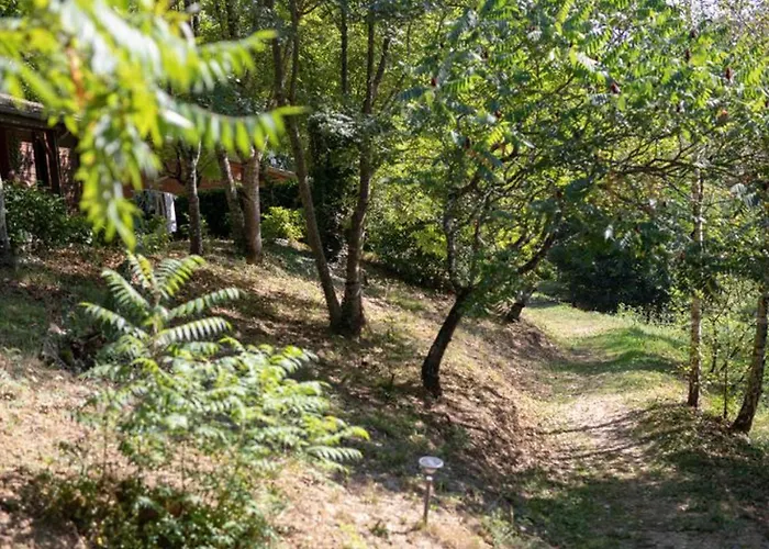 Avec Terrasse A Sauveterre-de-rouergue, 2 Chambres, Equipements Complets - Api-1-52-410 Sauveterre-de-Rouergue