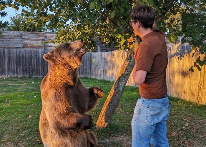 אתר קמפינג Avec Terrasse A Sauveterre-de-rouergue, 2 Chambres, Equipements Complets - Api-1-52-410